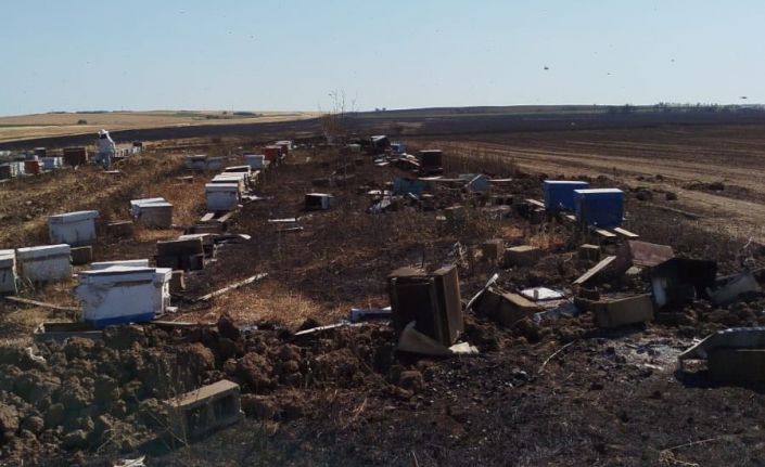 Anız yangını 400 arı kovanını kül etti