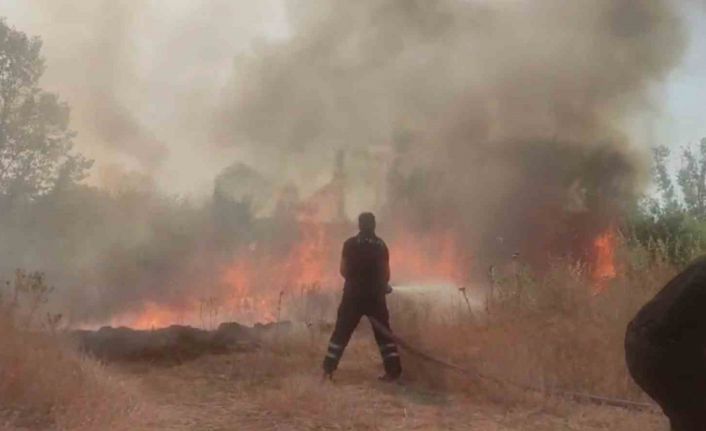 Anız yangını ağaçlık alana sıçradı