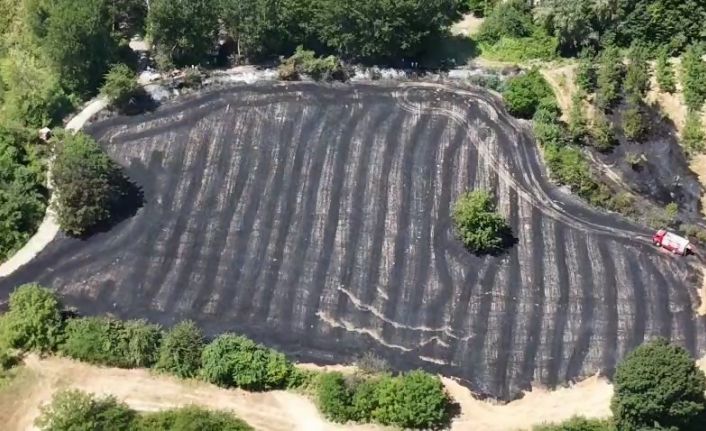 Anız yangını büyümeden söndürüldü