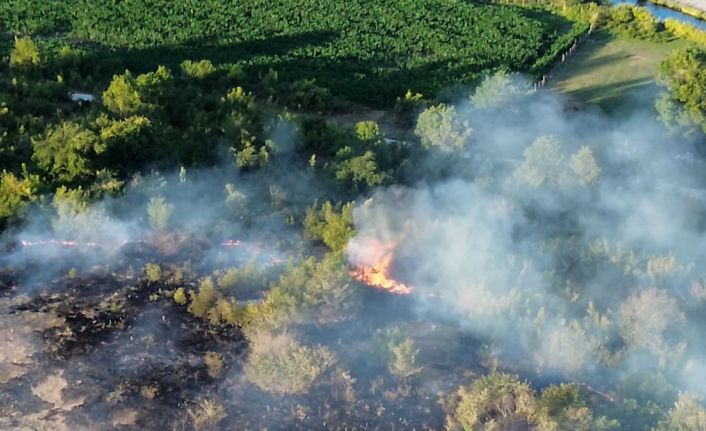 Anız yangını orman sıçradı: 10 dönüm küle döndü
