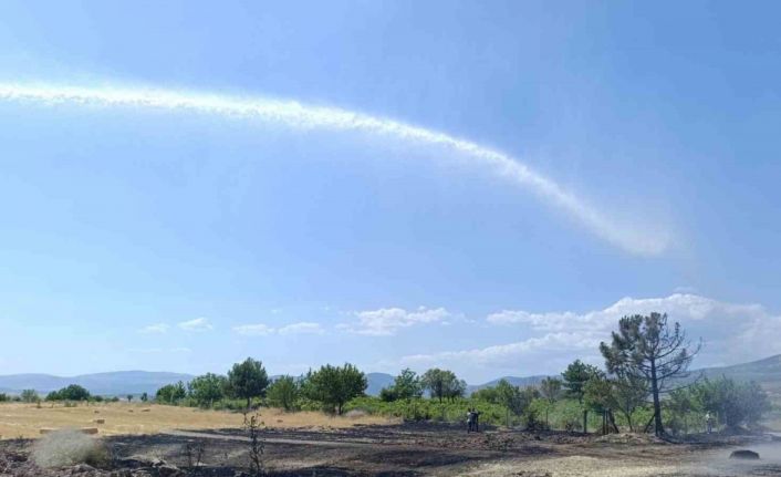 Ankara’da 40 dönüm ekili arazi yandı