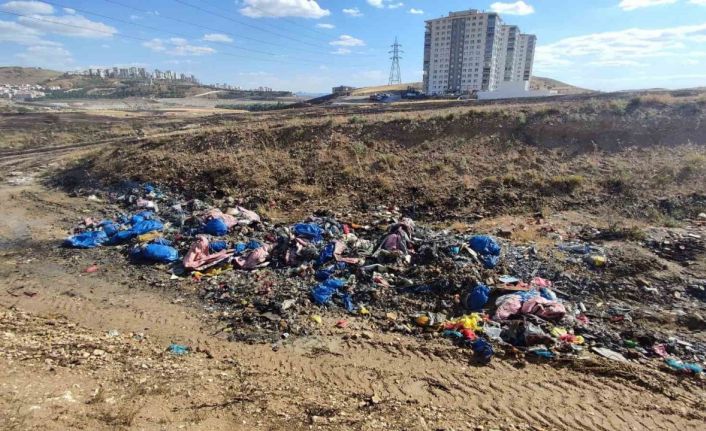 Ankara’da ekili arazideki yangın kontrol altına alındı