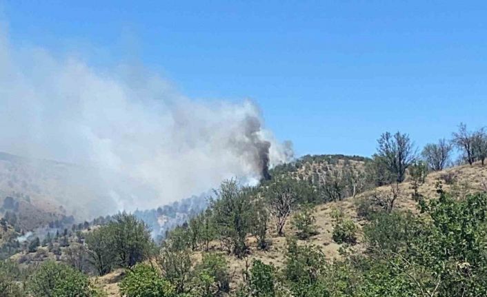Ankara’da ormanlık alanda yangın çıktı
