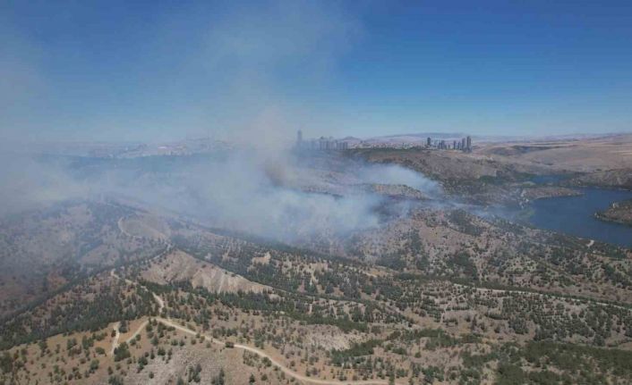 Ankara’daki orman yangını dron ile görüntülendi