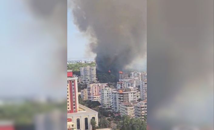 Antalya’da bir orman yangını daha