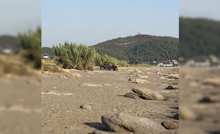 Antalya’da caretta caretta yuvaları zarar gördü