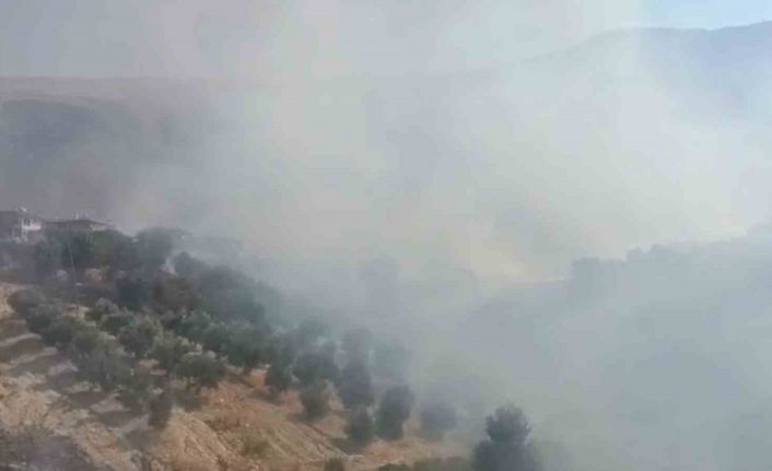 Antalya’da evlere yakın bölgede yangın