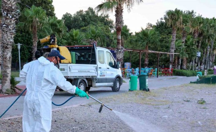 Antalya’da haşerelere karşı mücadele çalışmaları mesire alanlarında da sürüyor