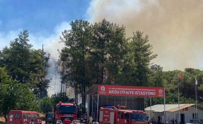Antalya’da ormanlık alanda yangın paniği