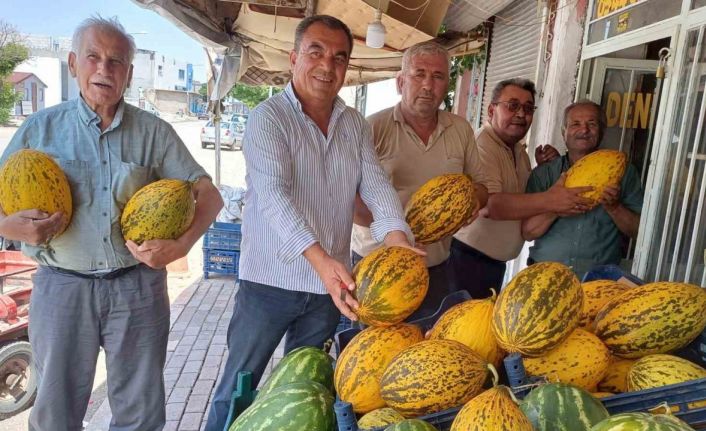 Araban Ovası’nda kavun hasadı başladı