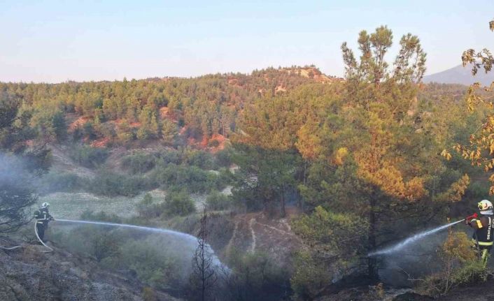 Araç yangınıyla başlayan orman yangını kısa sürede söndürüldü