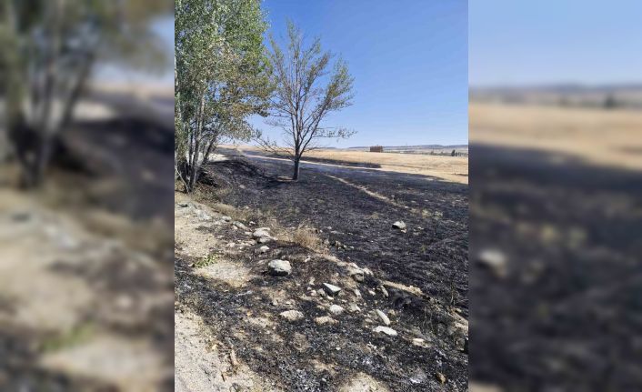 Arazide çıkan yangına çiftçi ve itfaiye ekipleri müdahale etti