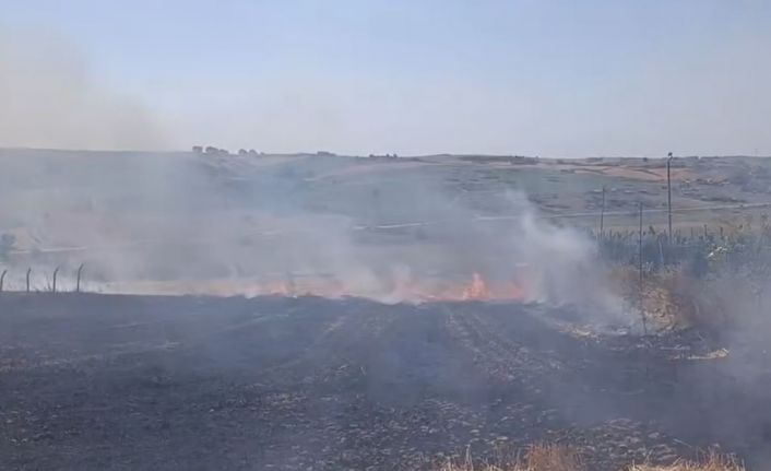 Arnavutköy’de tarla yangını