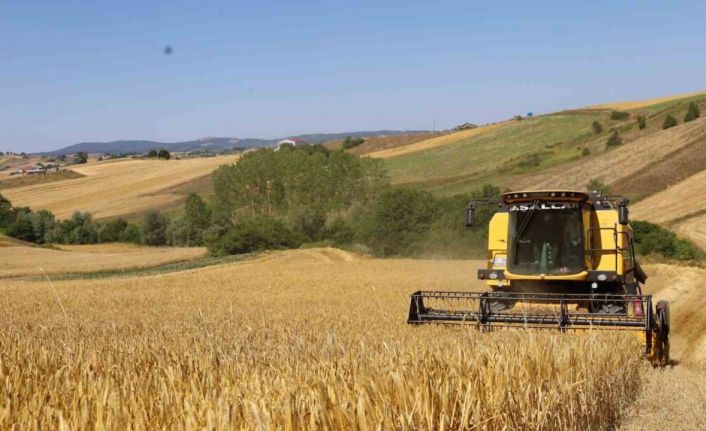 Arpa hasadı bereketli başladı