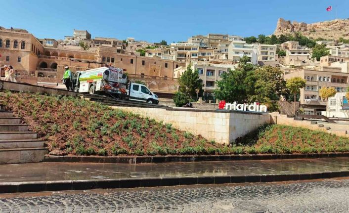 Artuklu ve Cumhuriyet Meydanı lavanta ile renklendi