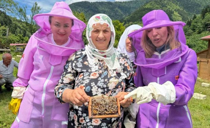Artvin’de arıcılığı doğa turizmiyle birleştiren "apiturizm" faaliyetleri başladı