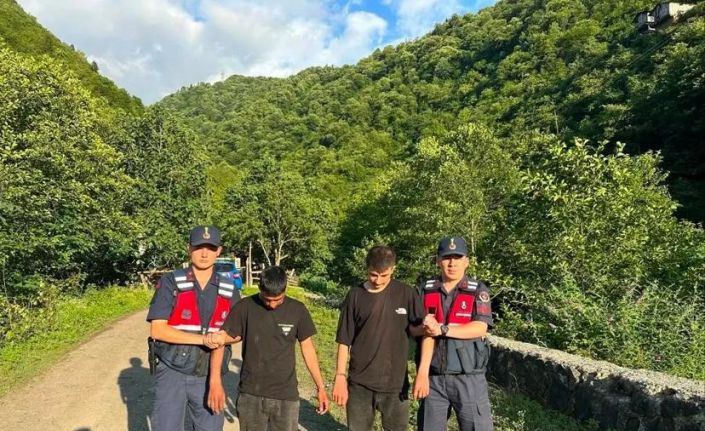 Artvin’de kaçak göçmenler ormanlık alanda yakalandı