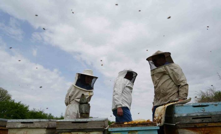 Aşırı sıcaklara karşı arıları koruyun