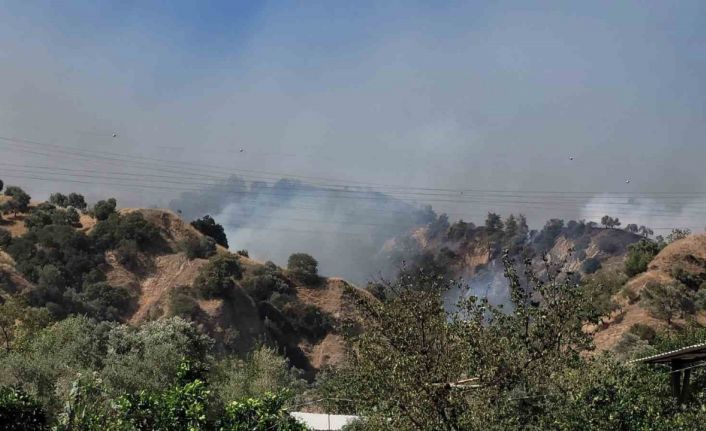 Aydın Valisi Canbolat: "Ekipler çevreyi sardı, kısa sürede kontrol altına alacağız"