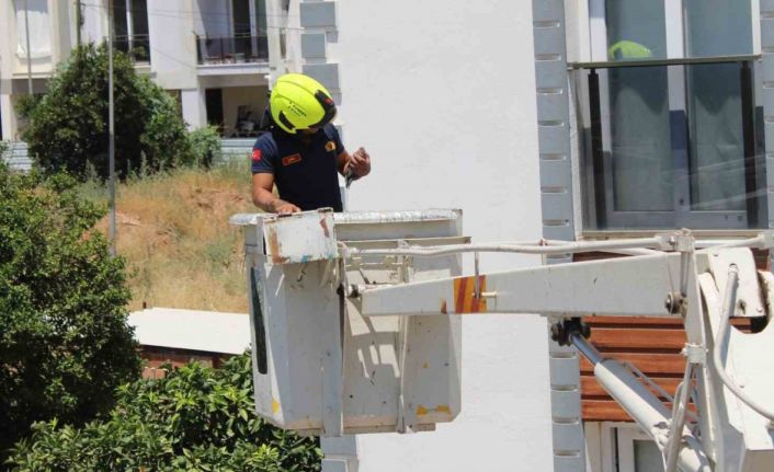 Aydın’da balkonda sıkışan kumruyu vatandaşın dikkati kurtardı