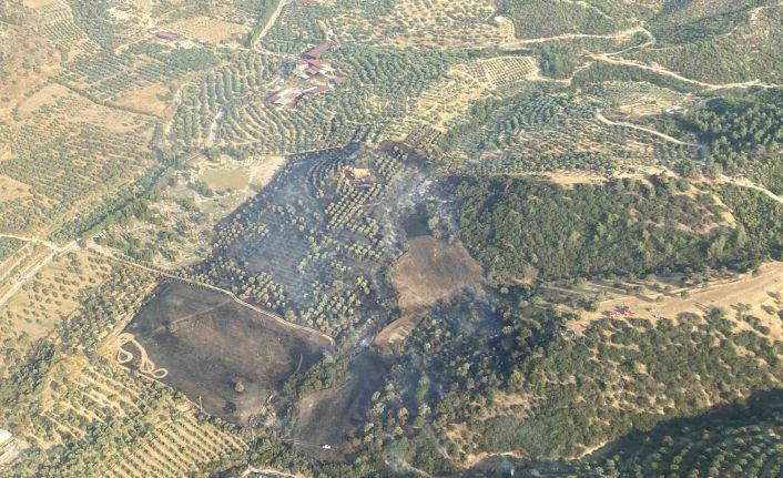 Aydın’daki yangın kontrol altına alındı