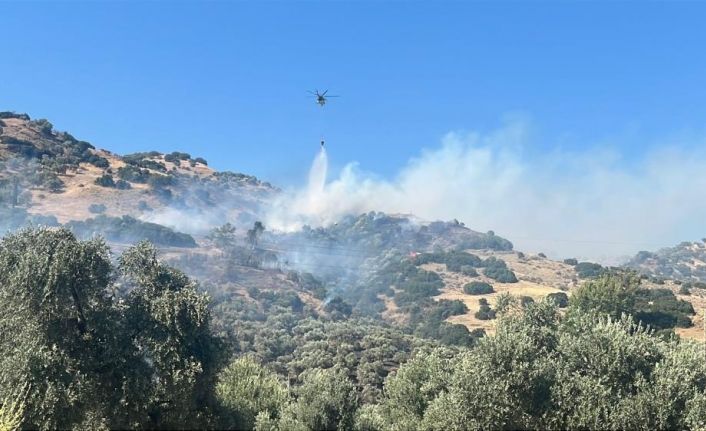 Aydın’daki yangında 2 kişi gözaltına alındı