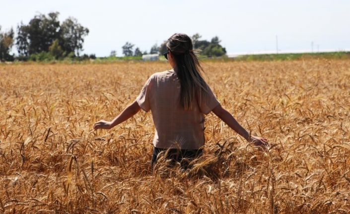 Aydıntepe’de termometreler 37 dereceyi gösterdi