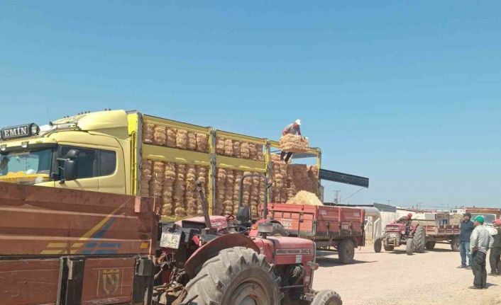 Ayvacık’ta yangından etkilenen Tuzla köyünde üreticilere destek