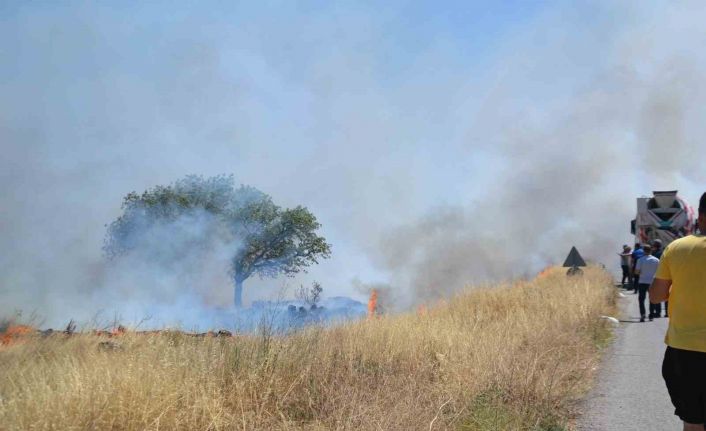 Ayvalık’ta çıkan arazi yangını bölgedeki iş yerlerini tehdit etti