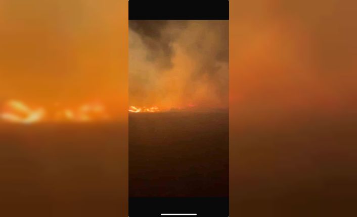 Ayvalık’ta çöp döküm sahasında yangın