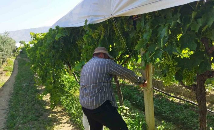 Bağ örtücülerin üç kelimelik komut sistemi