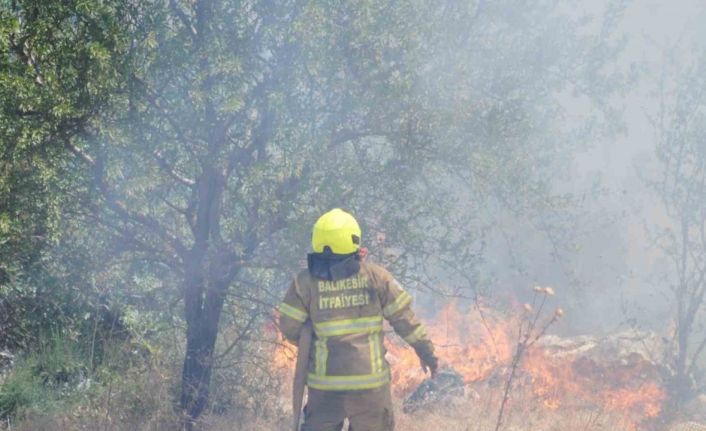 Balıkesir İtfaiyesi 12 günde 971 yangına müdahale etti