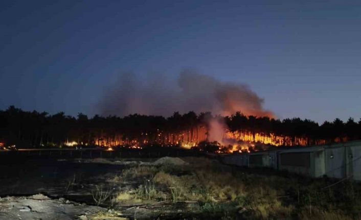 Balıkesir Savaştepe’de çıkan orman yangınına müdahale sürüyor