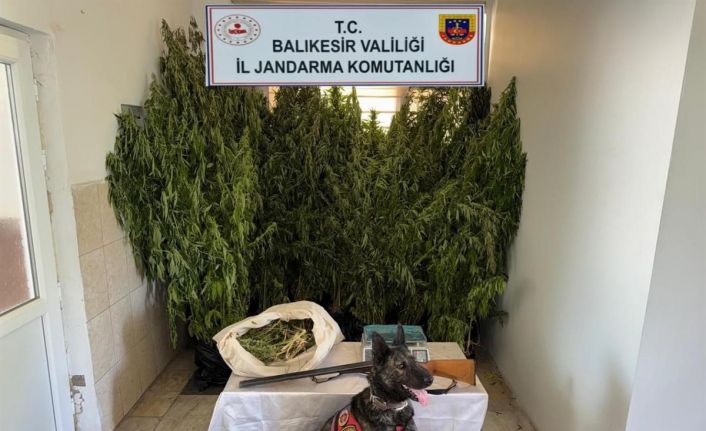 Balıkesir’de jandarmadan 9 ilçede uyuşturucu operasyonu: 15 gözaltı