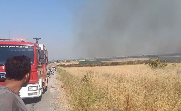 Balıkesir’de mera yangını