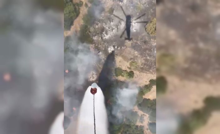 Balıkesir’de orman yangını kontrol altına alındı