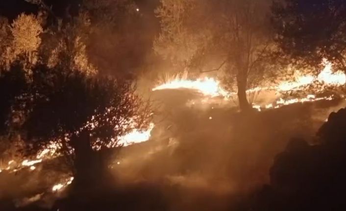 Balıkesir’de zeytinlik alanda çıkan yangına ekipler müdahale ediyor