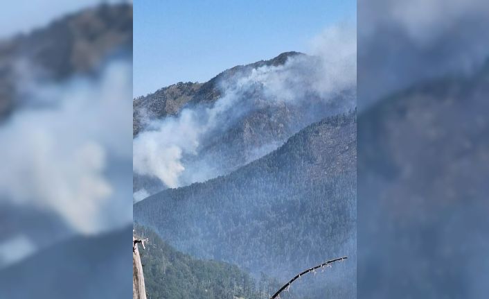 Balkanlar’daki sıcak hava dalgası orman yangınlarına neden oldu