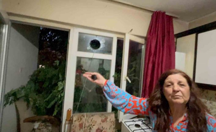 Balkonda kahve içerken üzerine ağaç devrildi