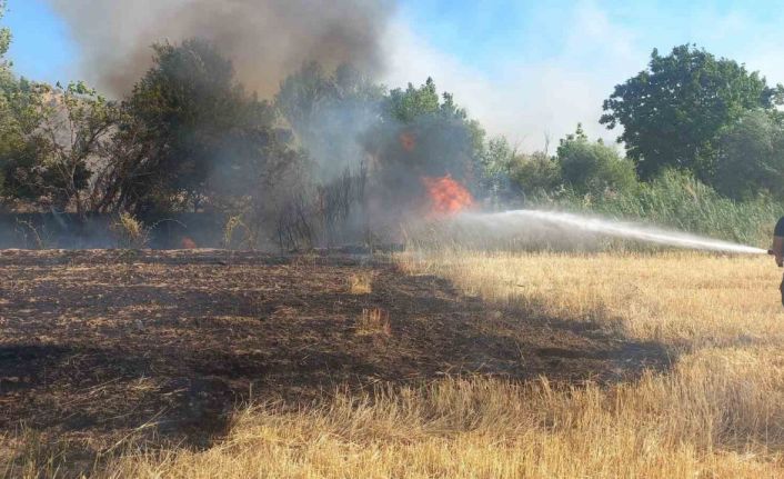 Balya makinesinden çıkan kıvılcım 200 dönümü yaktı