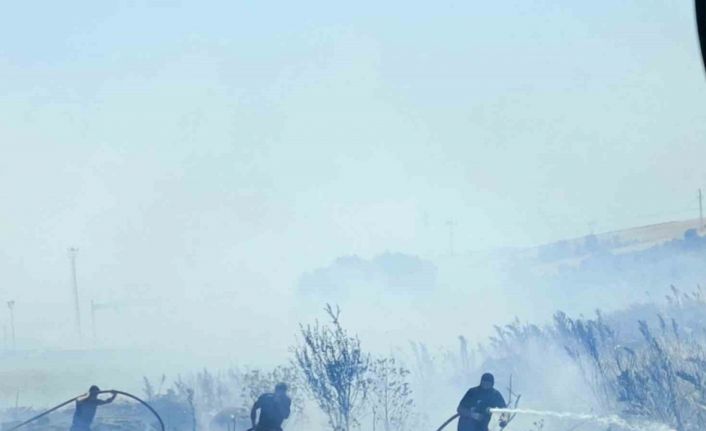 Bandırma-Bursa karayolunda arazi yangını kontrol altına alındı