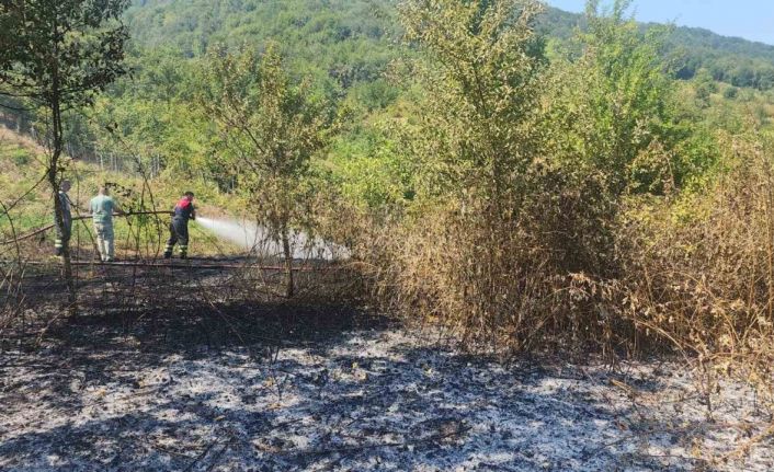 Bartın’da anız yangını ormana sıçramadan söndürüldü