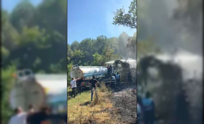 Bartın’da bahçe yangını ormana sıçramadan söndürüldü