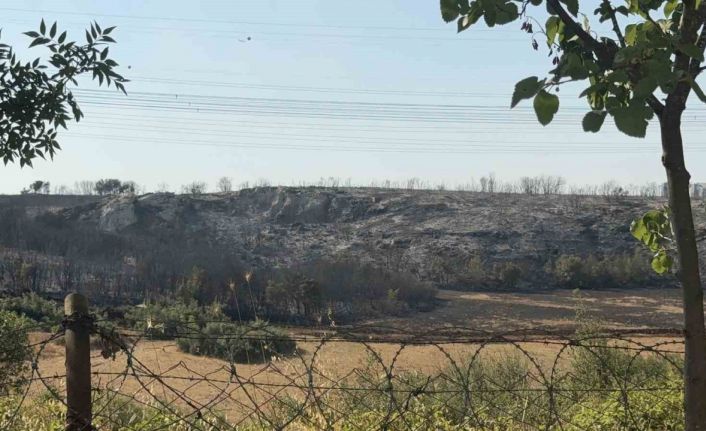 Başakşehir’de çalılık alanda yangın