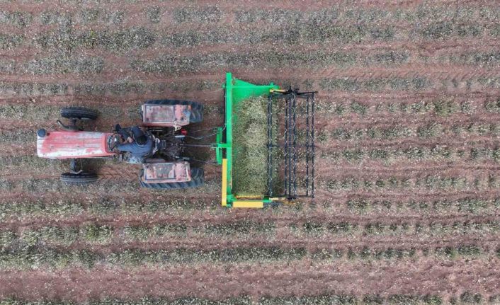 Başkan Altay: "Kuraklığa dayanıklı bitki destekleriyle çiftçimize yeni fırsatlar sunuyoruz"