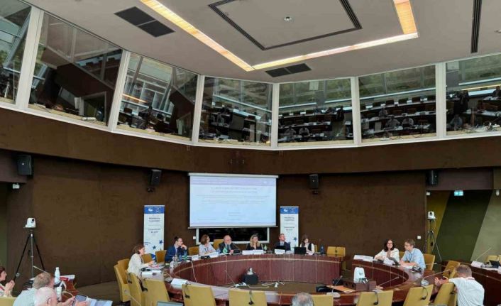 Başkan Arı; Avrupa Konseyi YBYK izleme komitesi toplantısı için Fransa’da