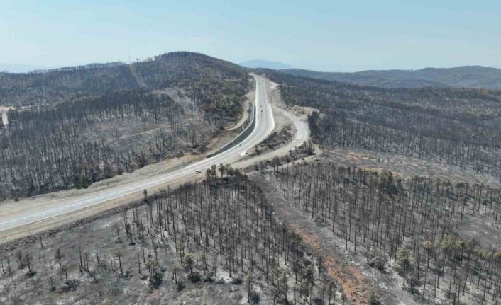 Başkan Bozbey: "10 bin futbol sahası kadar alanı kaybetmenin üzüntüsünü yaşıyoruz"