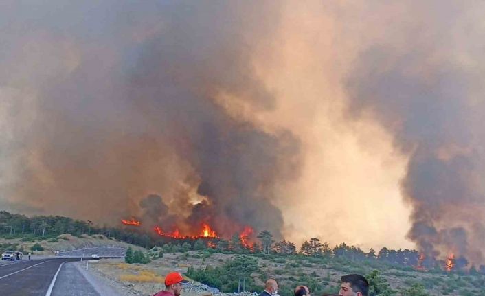 Başkan Bozbey, "Yangının 6 farklı bölgede bir anda başlamış olması düşündürücü"