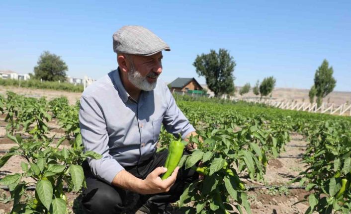 Başkan Çolakbayrakdar: Ata tohumlarımızı yaşatıyor, geleceğe taşıyoruz"