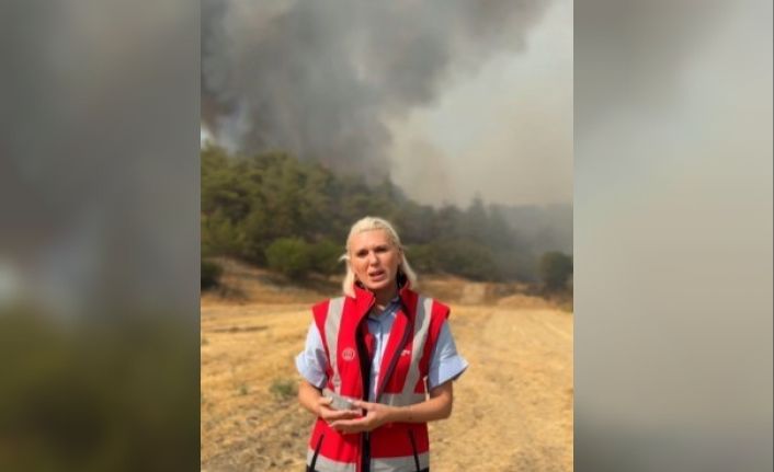 Başkan Subaşı yangın bölgesinde